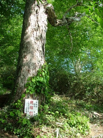 芦別岳(1,727m/新道コース)