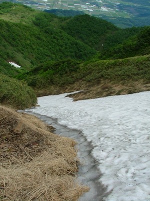 芦別岳(1,727m/新道コース)