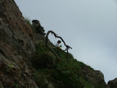 芦別岳(1,727m/新道コース)