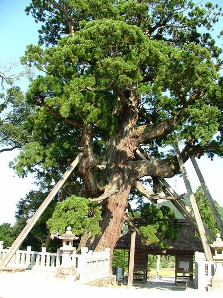 8月25日(土)・東から南へ(続きの続き)