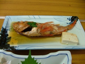 8月27日(月) 島内一周終了(続き)