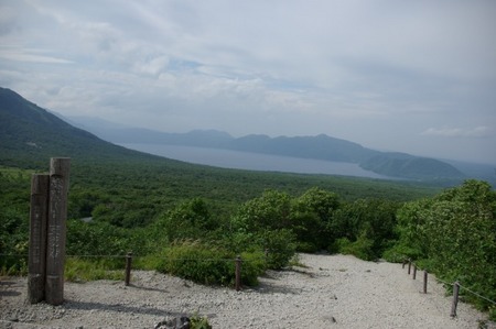 タルマイソウと樽前山