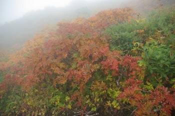 羊蹄山(1898m)の続き