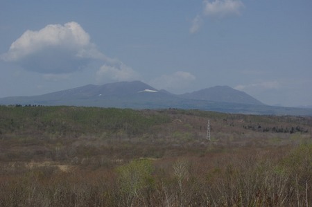 桜咲く、白老バーガー&ベーグル街道