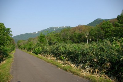 道南最高峰と渓流:狩場山登山(6/28)