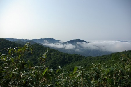 道南最高峰と渓流:狩場山登山(6/28)