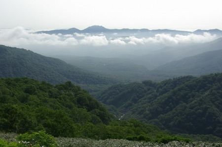 道南最高峰と渓流:狩場山登山(6/28)