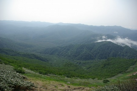 道南最高峰と渓流:狩場山登山(6/28)・その2