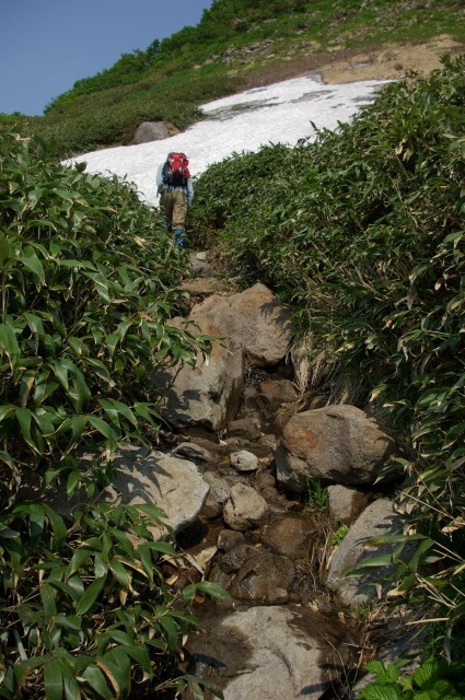 道南最高峰と渓流:狩場山登山(6/28)・その2