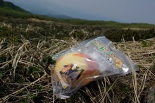 道南最高峰と渓流:狩場山登山(6/28)・その4