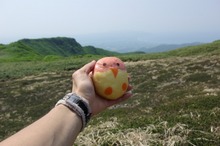道南最高峰と渓流:狩場山登山(6/28)・その4