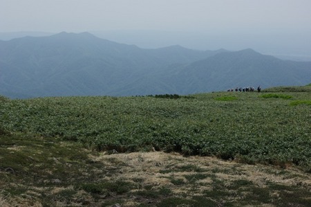 道南最高峰と渓流:狩場山登山(6/28)・その4