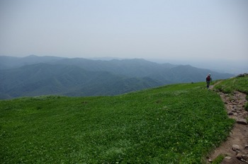 道南最高峰と渓流:狩場山登山(6/28)・その4