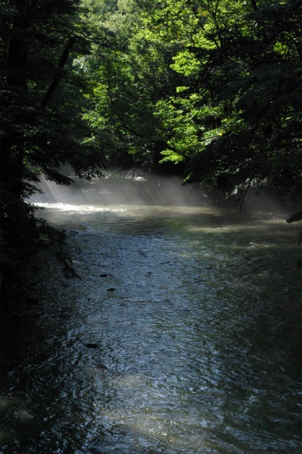 奥入瀬渓流(9月2日)