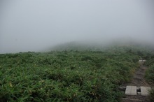 9月3日(水)・八甲田山