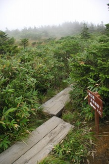 9月3日(水)・八甲田山
