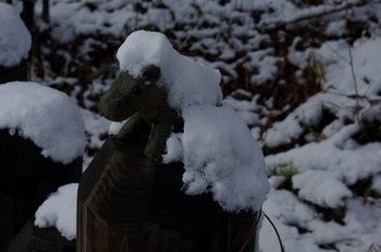 雪中鍋登山がしたくて(11月4日)