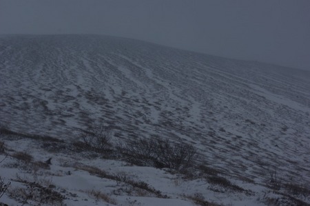 雪中鍋登山がしたくて(11月4日)
