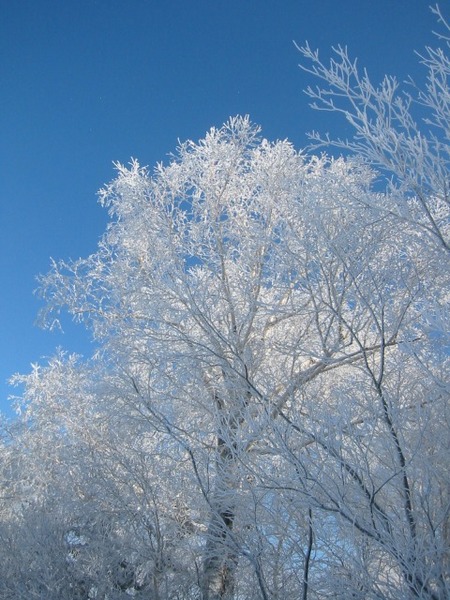 雪板生活6滑り目♪