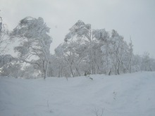 雪板生活11滑り目♪