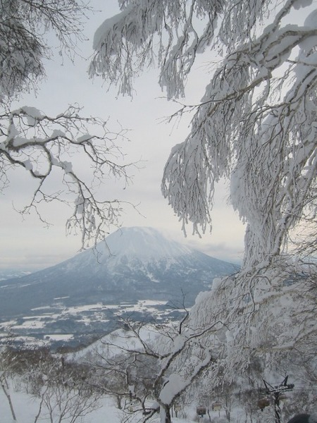 雪板生活11滑り目♪