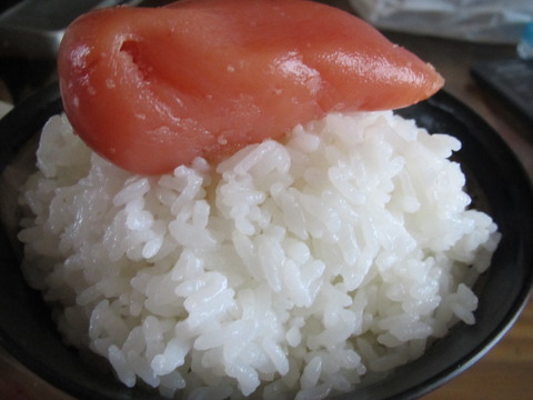 晩酌と朝食と晩飯