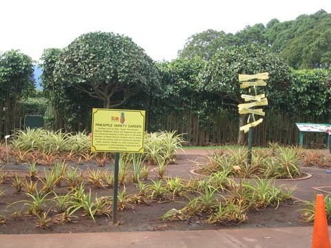 Dole・Plantation