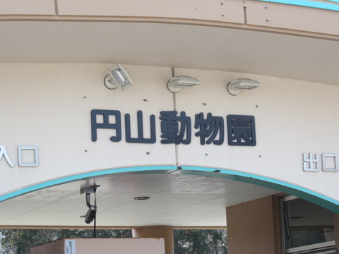 円山動物園/番外編 其の壱