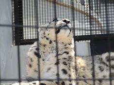 円山動物園/番外編 其の壱