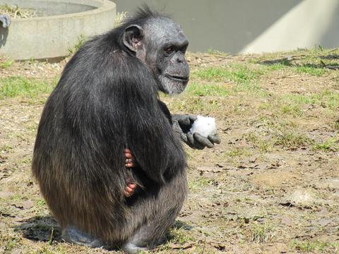 円山動物園/番外編 其の壱