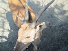 円山動物園/番外編 其の壱