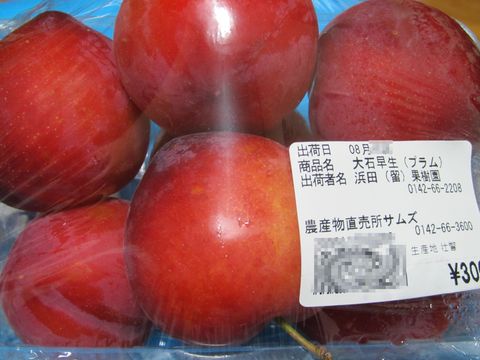 道の駅・そうべつ