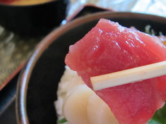 海鮮食堂 菜の花
