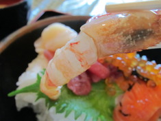 海鮮食堂 菜の花