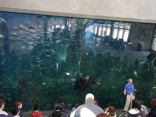 シアトル水族館１