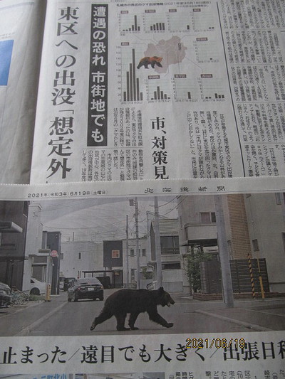 クマ出没