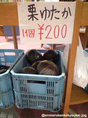 「やまびこ温泉」の新鮮カボチャ