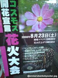 『コスモス開花宣言』花火大会が開催されます