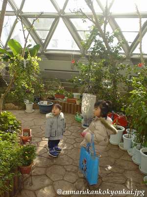 『丸瀬布』の南国