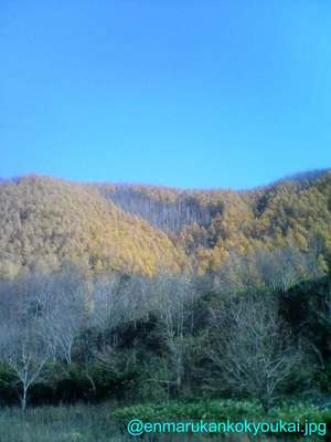 丸瀬布の「心温まる景色」