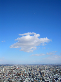 2月上旬の円山 2009/02/04 15:21:58