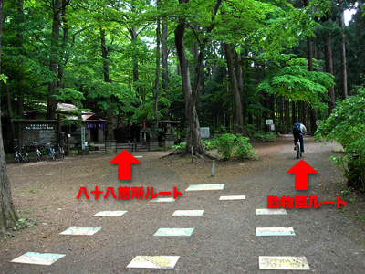 円山の登山口と登山ルート