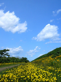 久しぶりの快晴 2009/06/23 13:37:22