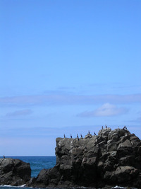 山中海岸へ 2009/07/20 20:53:33