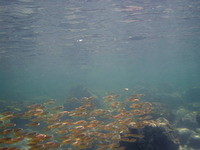 山中海岸〜祝津 2009/08/01 23:05:06