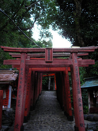 佐賀に行ってました 2009/08/31 00:19:06