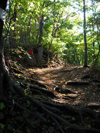 10月上旬の円山 2009/10/10 10:40:36