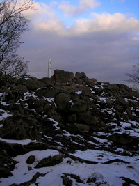 12月上旬の円山 2009/12/08 17:49:35