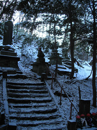 12月中旬の雪の円山 2009/12/15 16:01:34