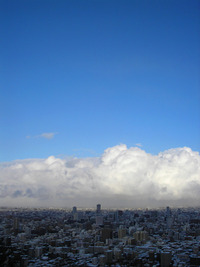 12月下旬の円山 2009/12/22 16:41:21